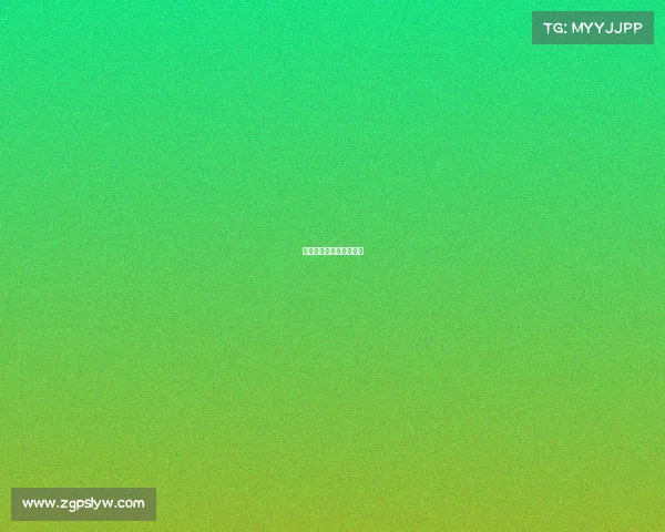 《枪战王者：巅峰对决》