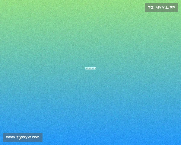 电子射击模拟器 电子射击模拟器